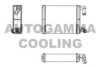 AUTOGAMMA 104881 Heat Exchanger, interior heating